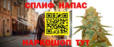 винт Будённовск